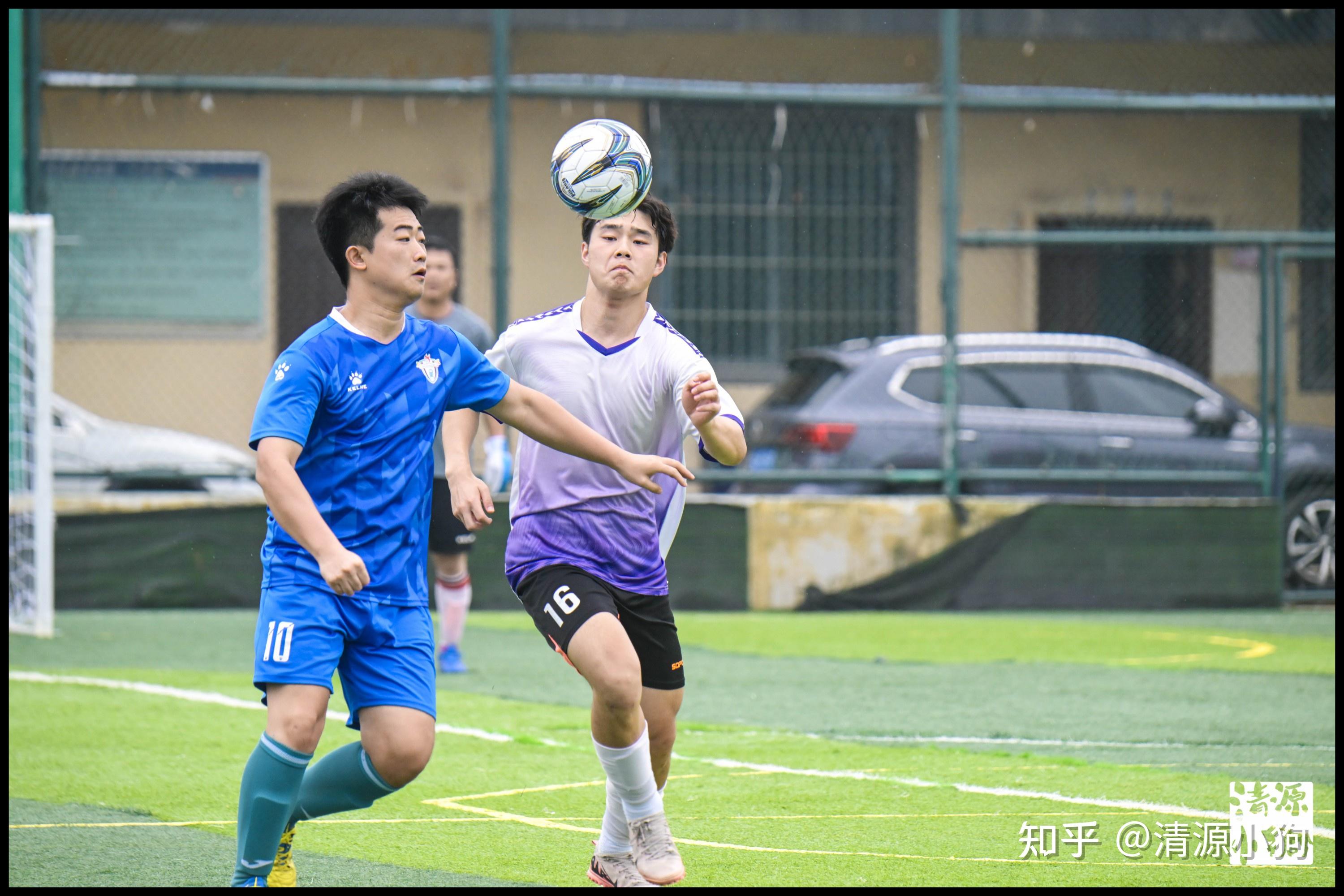 牛队或其他 牛队或其他